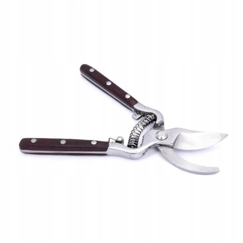 20ccf187491c8ba6f025a205fa92