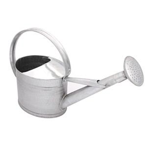 KONEWKA DO PODLEWANIA METALOWA OCYNK 8L SITKO