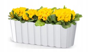 DONICZKA SKRZYNKA BOARDEE 383 mm BIAŁA