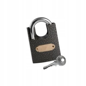 KŁÓDKA JARZMOWA GJM WZMOCNIONA AW40 3 KLUCZE