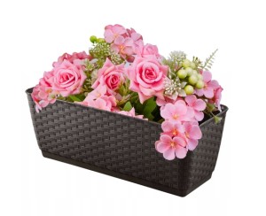 DONICZKA SKRZYNKA RATOLLA 293mm UMBRA