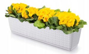 DONICZKA SKRZYNKA RATOLLA 590mm BIAŁA