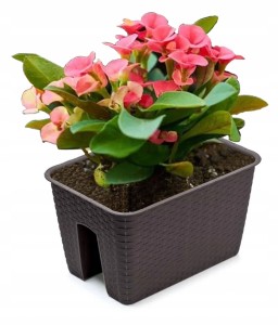 DONICZKA BALKONOWA NA BALKON SKRZYNKA RATOLLA 396mm UMBRA