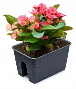 DONICZKA BALKONOWA NA BALKON SKRZYNKA RATOLLA 396mm ANTRACYT