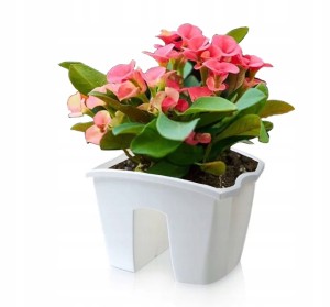 DONICZKA BALKONOWA SKRZYNKA NA BALKON BALUSTRADĘ BIAŁA 25cm