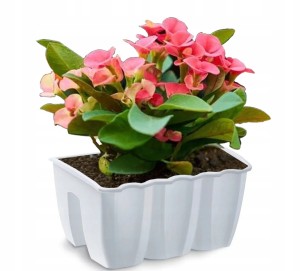 DONICZKA BALKONOWA SKRZYNKA NA BALKON BALUSTRADĘ BIAŁA 40cm