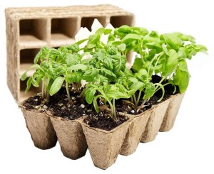 DONICZKI TORFOWE PALETKA DONICZKA TORFOWA 21x17x 4,5cm 6szt