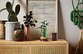 LEGO-ICONS-BOTANICALS-LUCKY-BAMBOO-ORGINALNE-KLOCKI-DRECENA-SANDERA-Wiek-dziecka-18-lat.jpg