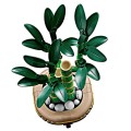 LEGO-ICONS-BOTANICALS-LUCKY-BAMBOO-ORGINALNE-KLOCKI-DRECENA-SANDERA-Plec-unisex.jpg