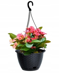 DONICZKA WISZĄCA NA KWIATY RATOLLA ANTRACYT 243mm