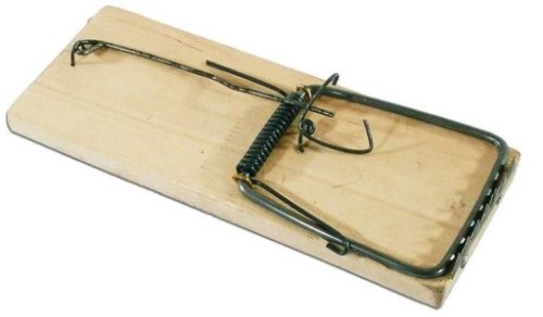 ae9bbb80490d84c048e6801c7f1c