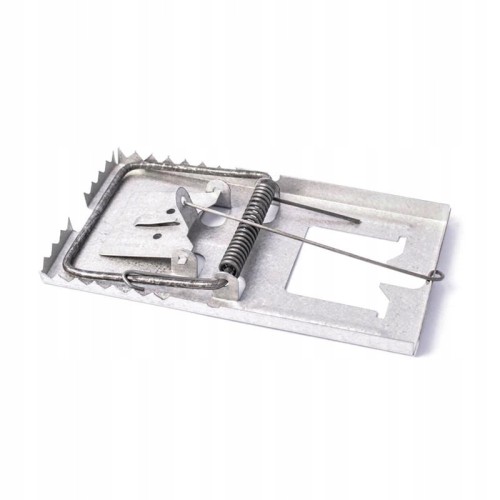 8319f5f34ad4be7d483707fd6fc0